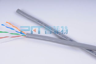 網絡線 信息時代的血脈與紐帶