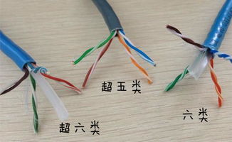 五類、超五類、六類網絡線 從入門到高速的網絡線纜解析